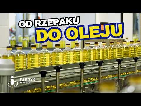 Jak powstaje polski OLEJ RZEPAKOWY?