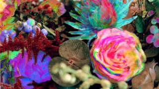 Darkstar - Amplified Ease (taken from new album 'News From Nowhere')