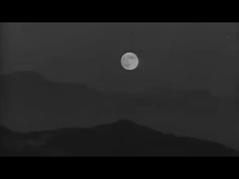 Duke Ellington And His Famous Orchestra - Solitude (1934)