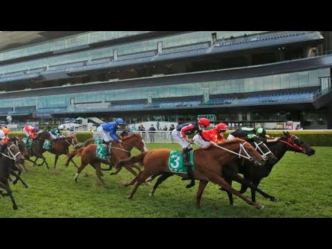 PRIVATE EYE | 2021 Epsom Handicap (G1) | Randwick, Australia |