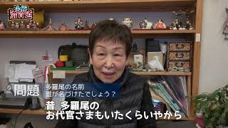 2021/04/20放送・知ったかぶりカイツブリにゅーす