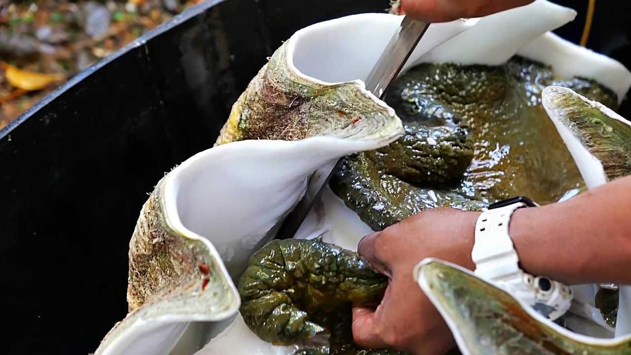 GIANT ALIEN CLAM Cooked Three Ways - Palau Seafood Koror