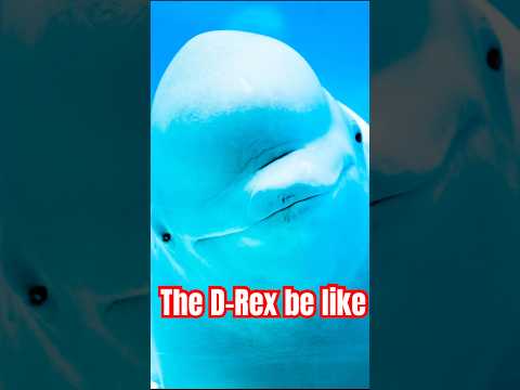 The Jurassic Park/World villain dinosaurs seeing the D-Rex for the first time