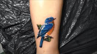 studio tatuazu warszawa-bluebird tattoo