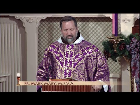 Daily Readings and Homily - 2021-11-28 - Fr. Mark