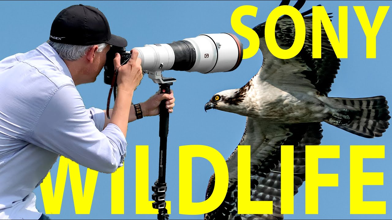 Video thumbnail for Video Review 2