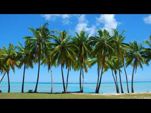 Yung Treez x DannyB x Yung Huncho "Cozy"