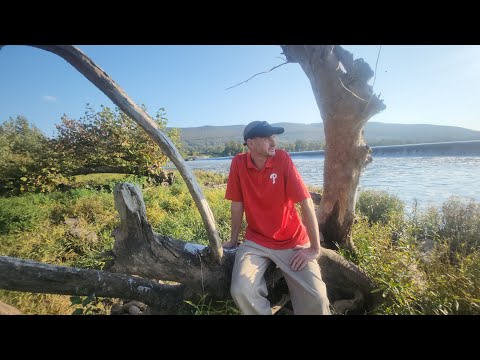 The island in Williamsport,Pa.