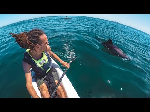 DOLPHIN KAYAK TOUR - CAPE TOWN