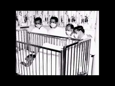 Heraldos del Rey  (1962-1967) "Cristo Señor"