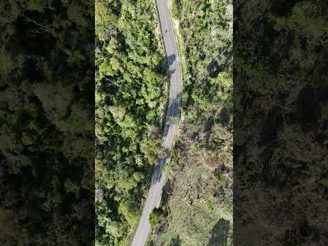 Entre Campos de Cunha e Silveiras - SP #drone #djibrasil #cunha #video #natureza