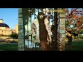 Amsterdam - Al Stewart |Lyrics| HD
