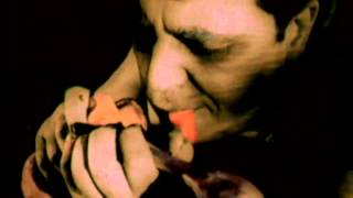 A Noite dos Mortos-Vivos