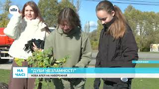 Нову алею на Набережній заклали поліцейські, ветерани та молодь