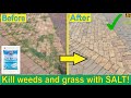 How To Kill Weeds And Grass On Paving Naturally Using Salt Organic And Safe