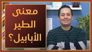 قصص وحكايات لسان العرب(2) ما معنى الطير الابابيل؟ وأبق إلى الفلك المشحون؟ image