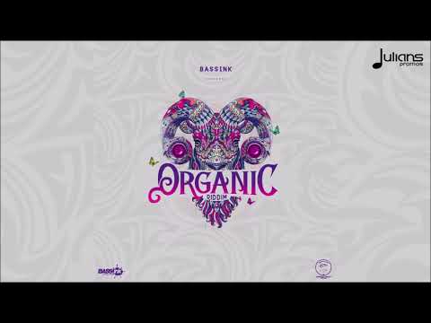 Lil Rick - No RH (Organic Riddim) "2020 Bashment" (Barbados) [RAW]