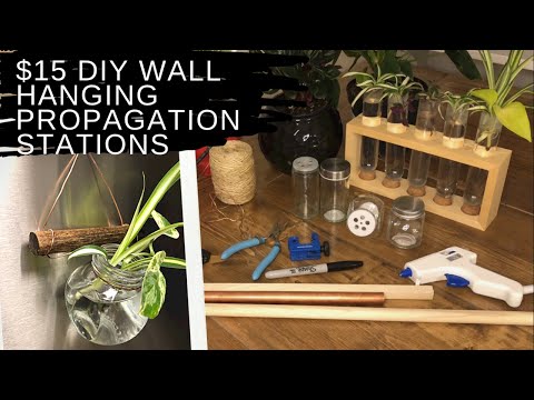 $15 DIY Propagation Stations Hanging Plant Décor Tutorial