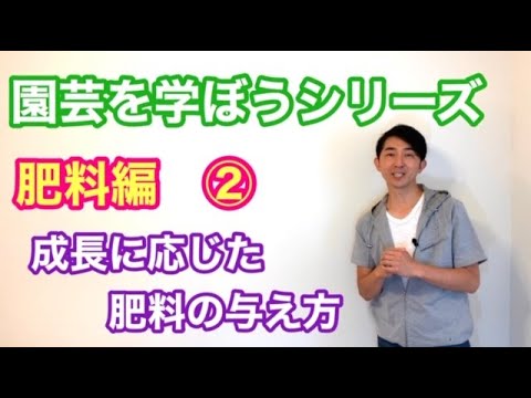 トマトを強化するにはどうすればよいですか？天然肥料であるイラクサ肥料の恩恵をお楽しみください。  庭園