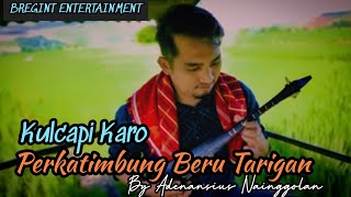 Download lagu KULCAPI KARO PERKATIMBUNG BERU TARIGAN mp3