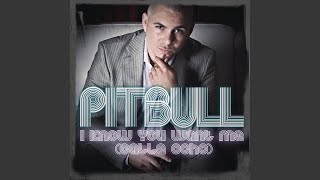 I Know You Want Me (Calle Ocho) (Radio Edit)