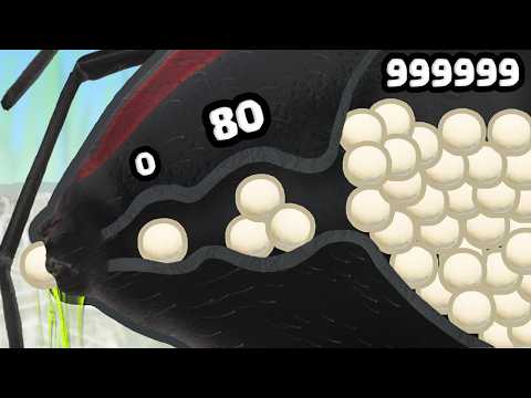 Can a Pregnant Spider lay a MAX LEVEL TARANTULA Eggs?