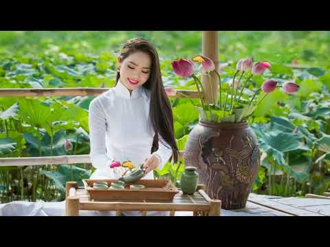Thể hiện bởi Lưu Hồng