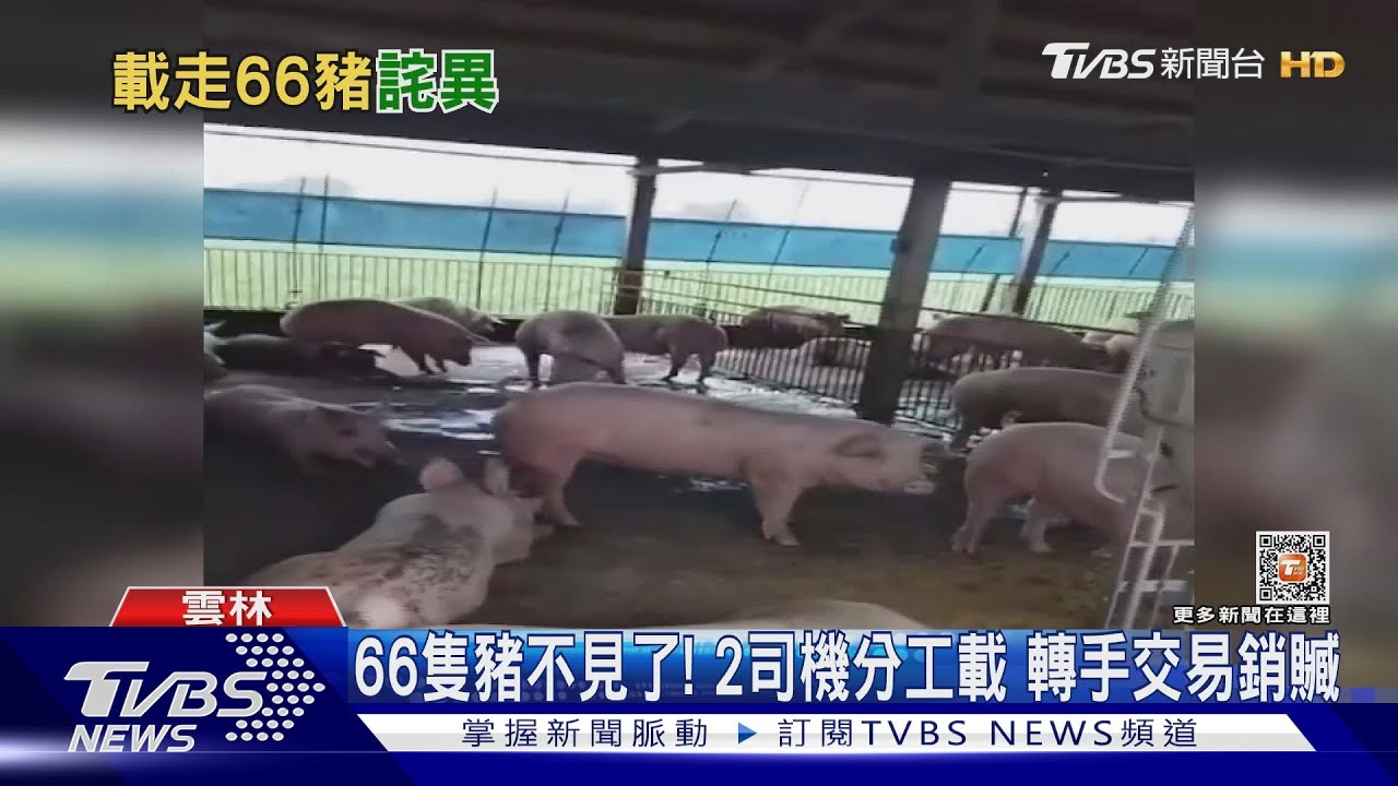 66隻豬不見了！2司機分工載　轉手交易銷贓