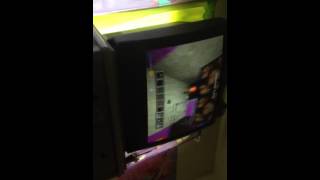 Haley plays minecraft