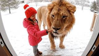 Dangerous Animals Caught Being Friendly