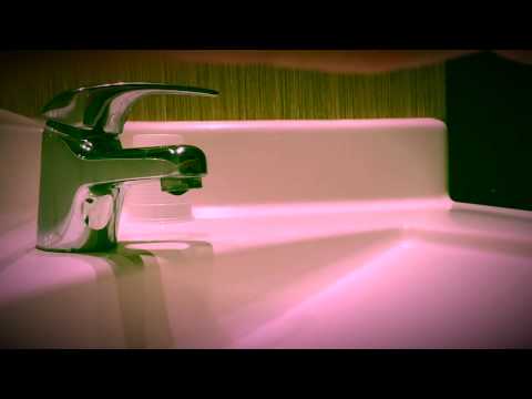 Black Pear Tree / The Mountain Goats & Kaki King