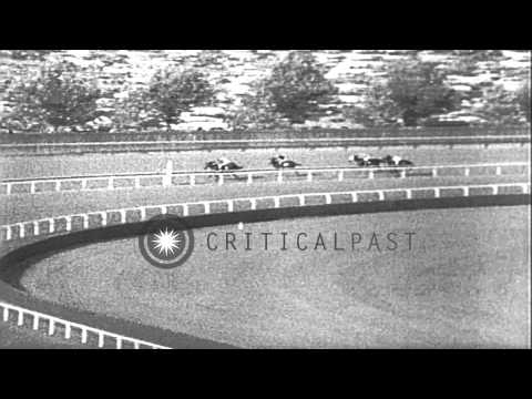Spectators watch as Damascus wins the Woodward Stakes in New York. HD Stock Footage
