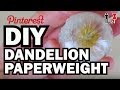 DIY Dandelion Paperweight - Man Vs Pin - Pinterest ...