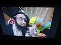 Spongebob Squarepants Patchey Shot Out Of The Canon By Mr Shanghaied ️ 6 17 23