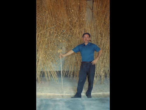 Harry Bertoia Foundation video