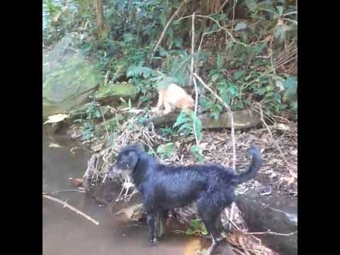 Candeias   Conceição do mato dentro    MG