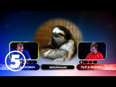 Filip vs. Thomas Johansson i djurquiz