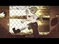 Oliver Amygdala S Rag Doll Original Song