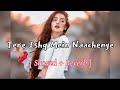Tere Ishq Mein Naachenge ( slowed + reverb ) | hindi song slowed reverb | lofi songs hindi #lofi
