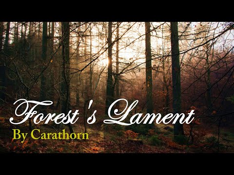 Piano music | Carathorn - Forest's Lament