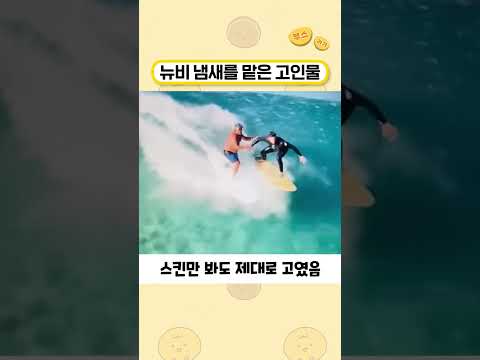 아이콘