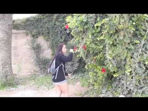 Disfrutando de Alicante - Erasmus 2014/2015