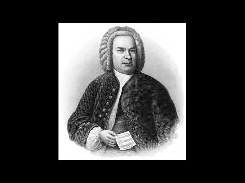 J. S. Bach  Prelude and fugue g minor BWV 535 Performed by Jarosław Bester