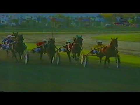 ALLYHILLS  HICO 1:15,1 YU Rekord "Dužijanca" 1600m- Subotica 1998