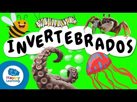 🪱 Todo sobre los ANIMALES INVERTEBRADOS | Vídeos Educativos para Niños de PRIMARIA @HappyLearningES