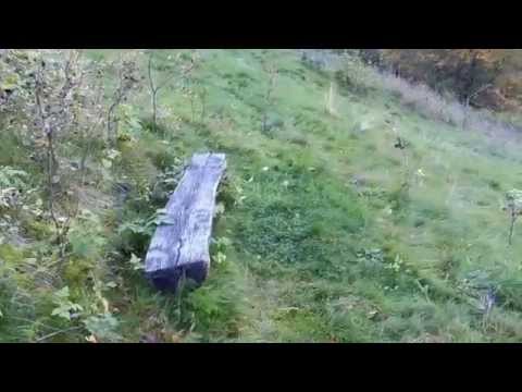 Stempelstelle 162 Alte Wache - Harzer Wandernadel