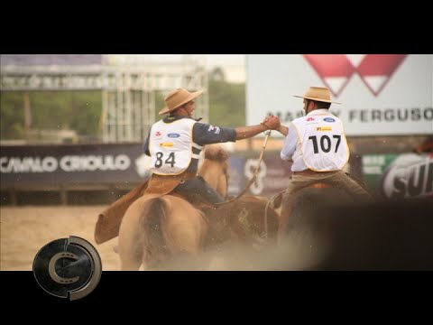 Freio de Ouro 2016, cavalo reserva briga na final!