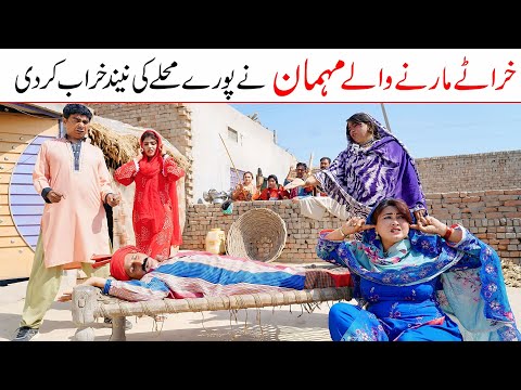 Memes 2026 | Ramzi,Noori, Bilo,Shoki, Sanam, Falak Sher,Funny Video  Rachnavi Tv