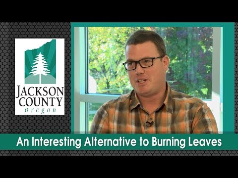 An Interesting Alternative to Burning Leaves