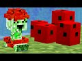 I Added Creeper Pets That Grow Into Minecraft